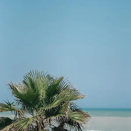 캠프장 Villaggio Turistico Mare 리도 디 페르모